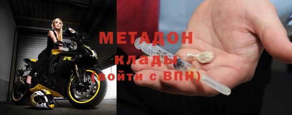 прущие грибы Абинск