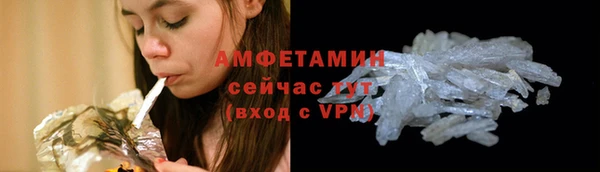 прущие грибы Абинск