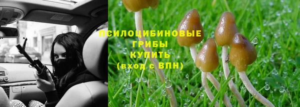 бошки Алзамай