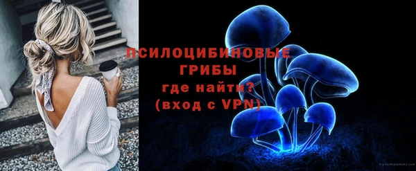 амф Алексеевка