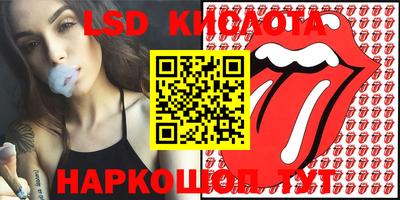 сатива Гатчина