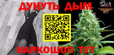 сатива Гатчина