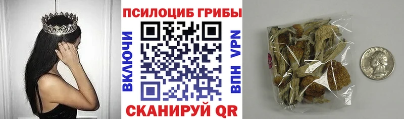 Галлюциногенные грибы мицелий  как найти   Мыски 