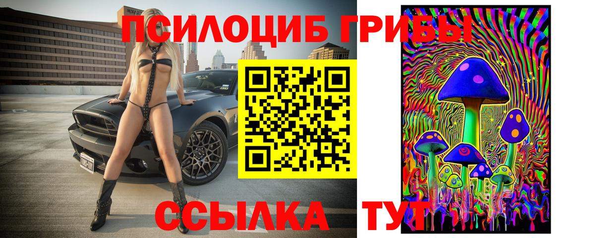 Псилоцибиновые грибы мицелий  Галлюциногенные грибы MAGIC MUSHROOMS  сколько стоит  Мыски  Вход с VPN 