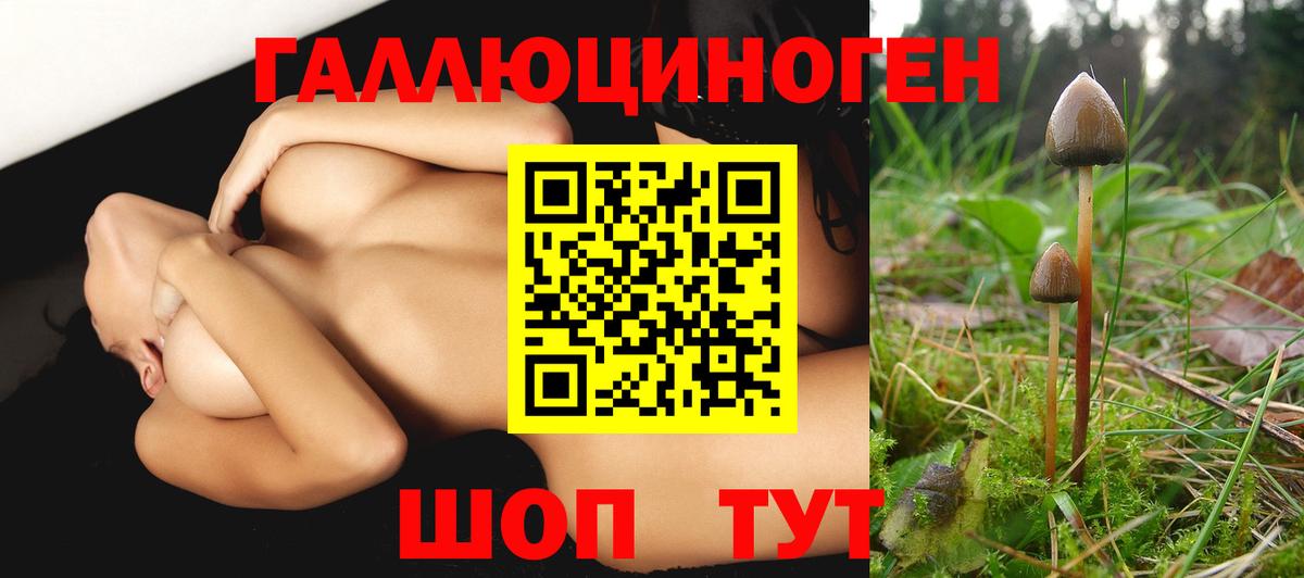 Галлюциногенные грибы MAGIC MUSHROOMS Мыски